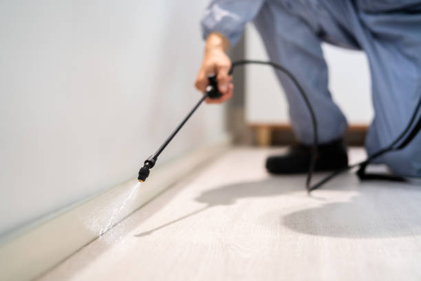 Licensed Pest Control service in South Greeley, WY - Show Me Pest Control