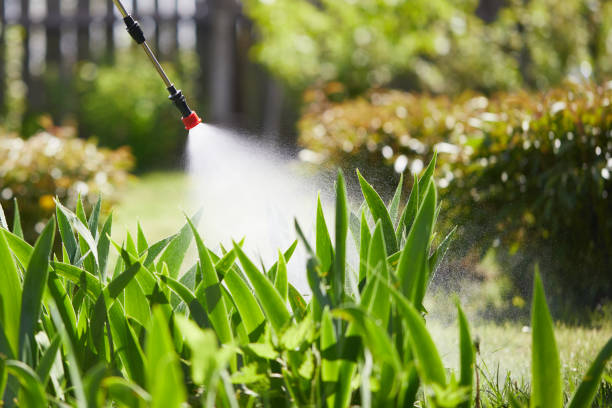 Tamper-Resistant Bait Stations for Rodents in South Greeley