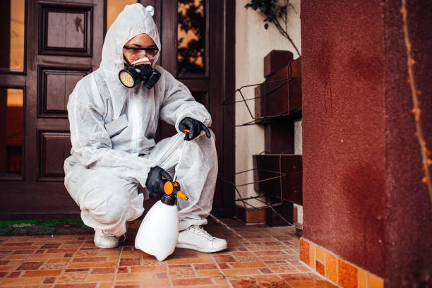 Attic and Crawl Space Rodent Treatment in South Greeley